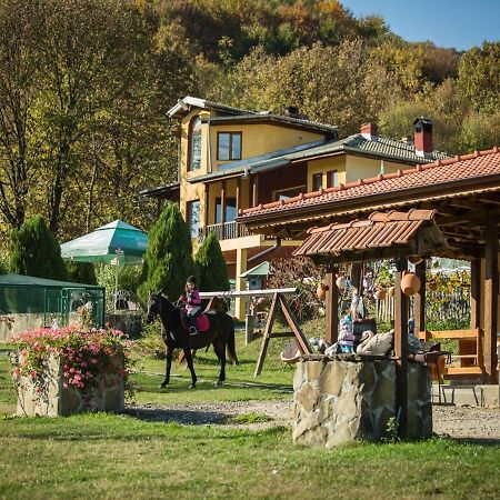 Guest House Alfa Daniel Balkanets  Exterior photo