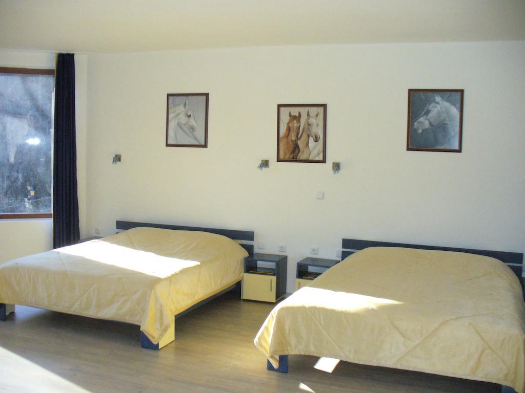 Guest House Alfa Daniel Balkanets  Room photo