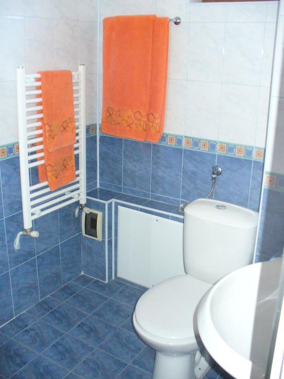 Guest House Alfa Daniel Balkanets  Room photo