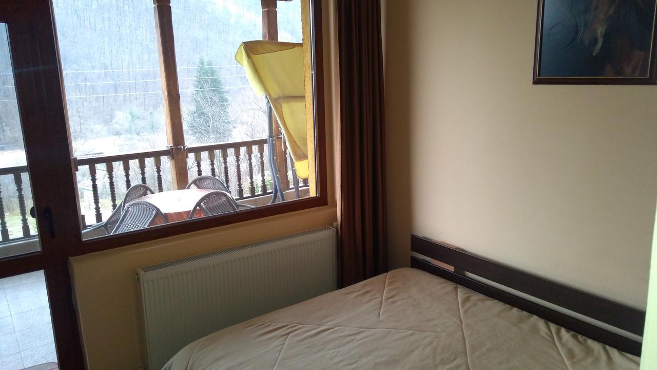 Guest House Alfa Daniel Balkanets  Exterior photo
