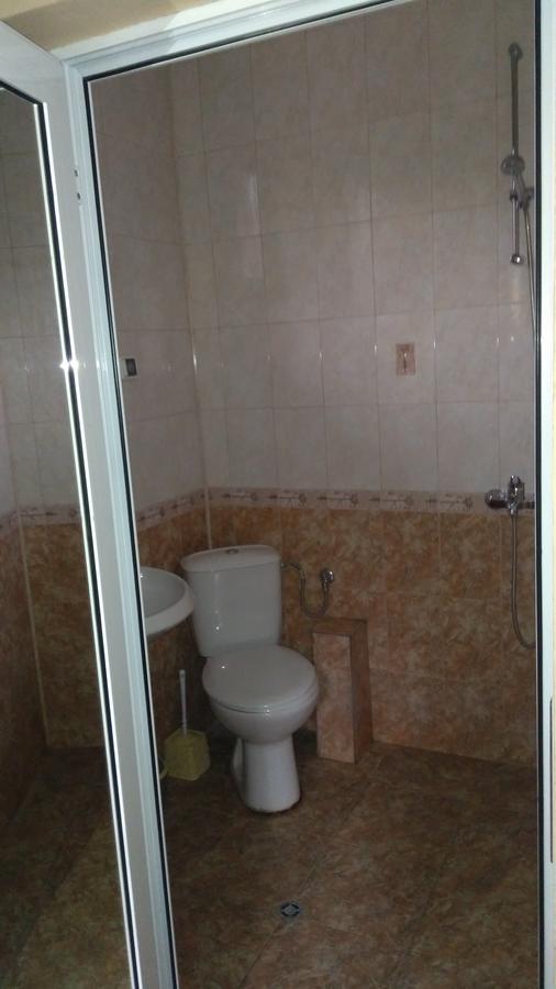 Guest House Alfa Daniel Balkanets  Exterior photo