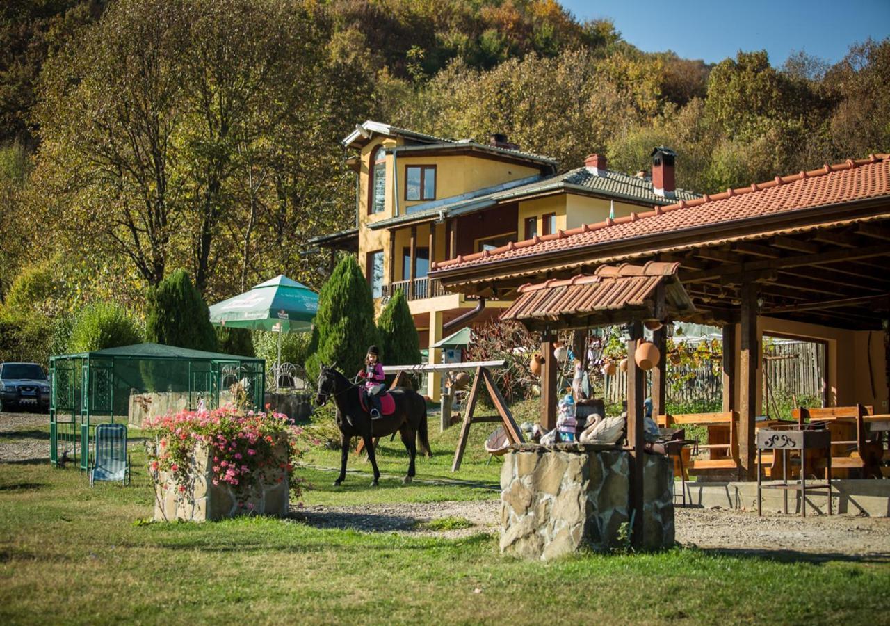 Guest House Alfa Daniel Balkanets  Exterior photo